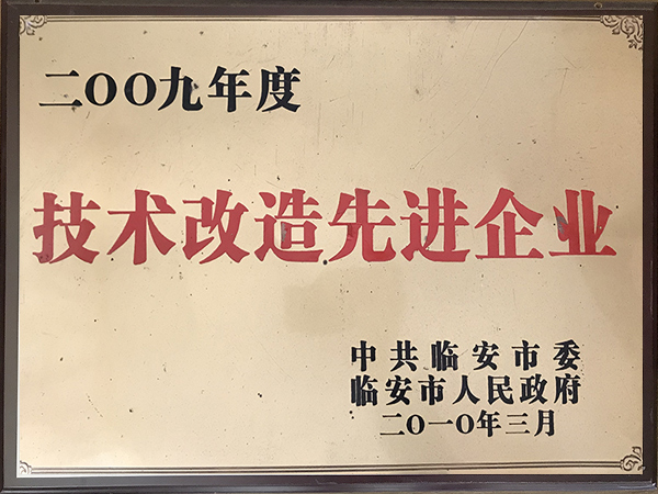 2009年度技术改造先进企业-华龙摩擦