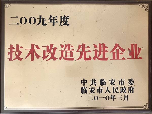 2009年度技术改造先进企业