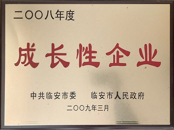 2008年度成长性企业-华龙摩擦